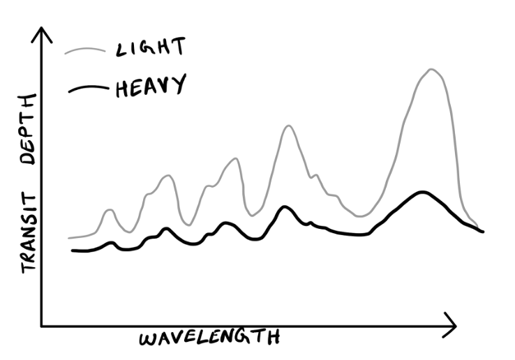 MMW Spectrum